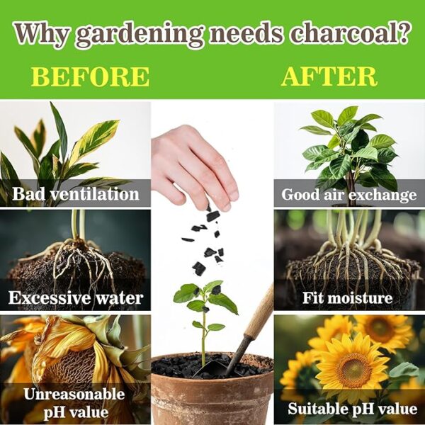 Sukh Horticultural Charcoal for Plants - Image 2