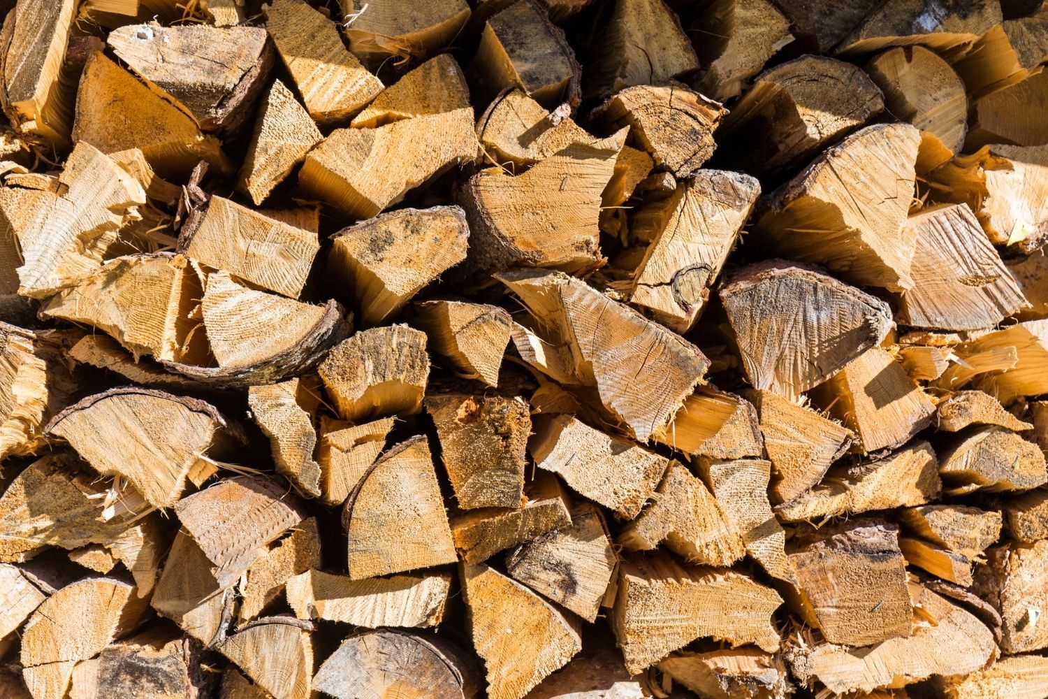 Firewood