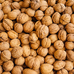 WALNUTS
